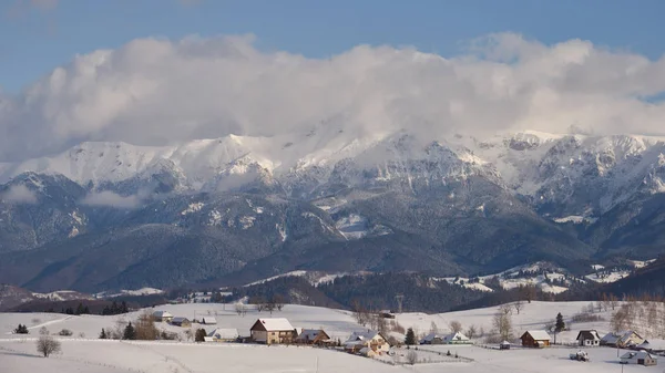 Vahşi Transilvanya Tepelerde Bir Kış Günü — Stok fotoğraf