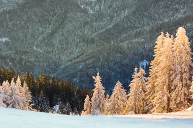 Kışın karlı manzara, Postavaru Brasov, Romanya. Dağ manzarası