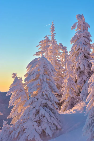 Inverno Paisagem Nevada Postavaru Brasov Roménia Paisagem Montanhosa — Fotografia de Stock