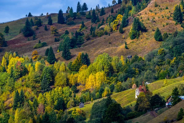 Východ Slunce Nad Mlžným Zvlněných Kopců Rumunský Venkov Bukovině Regionu — Stock fotografie