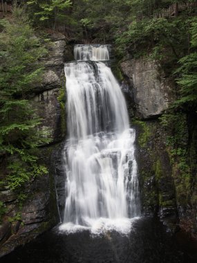 Bushkill Şelaleleri verimli bir yaz manzarasında şelale gibi dökülüyor.