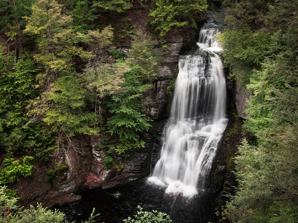 在一片茂盛的夏日风景中 布希基尔瀑布滑落下来 免版税图库照片
