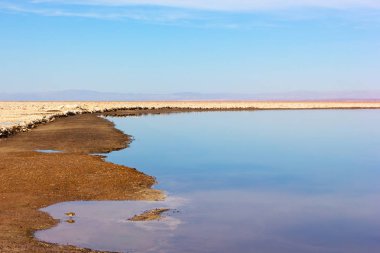 Lagün ile yüksek bulutlar ve San Pedro de Atacama, Chile kuş içme suyunda yansımasıdır. Yağmurdan sonra sabahın erken saatlerinde çölün kayalık arazi.