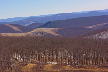 Batı Virginia kırsal kış, ABD dağlık manzara. Orman, alanları ve Allegheny Dağları Panoraması