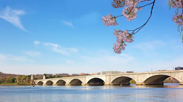 Pont Commémoratif Arlington Traversant Rivière Potomac Pendant Saison Des Fleurs — Photo
