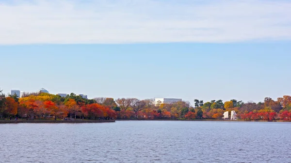 Washington Panorama Rond Tidal Basin Het Najaar Met Een Uitzicht — Stockfoto