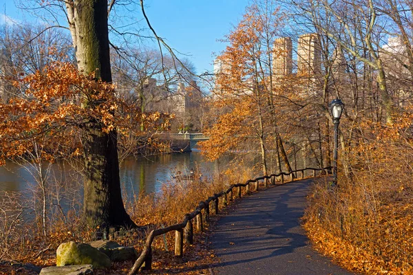 Een Loopbrug Central Park Winter New York Verenigde Staten Landschap — Stockfoto