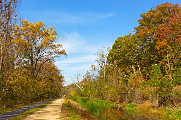 Canal National Historic Park Outono Folhagem Queda Colorida Árvores Caducas — Fotografia de Stock