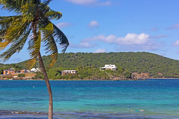 Ondiep Warm Water Van Tropische Eiland Baai Biedt Ideale Omstandigheden — Stockfoto