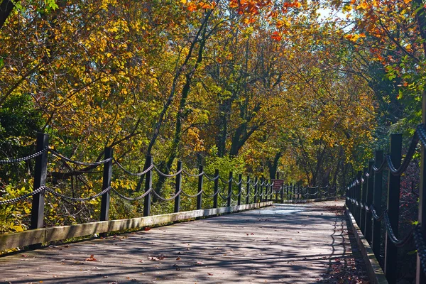 Bir yaya ve bisiklet yolu Arlington, Va, ABD Potomac Nehri boyunca. Yaprak döken ağaçların arasında sonbahar güneşli bir sabah üzerinde iz.