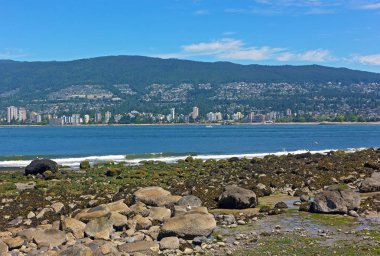 Kayalar düşük tide ve Vancouver banliyö panorama ufukta kuşlar için bol gıda ile. Bir Stanley Sahil Parkı güneşli yaz sabahı taşlı bir plajda martıları ile.