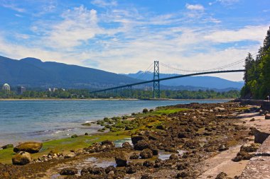 Stanley Parkı panorama Vancouver Bc, Kanada ufukta kar zirveleri ile Lions Gates Köprüsü ve dağlar manzaralı. Güzel yaz günü park yollar üzerinde bir gezintiye.