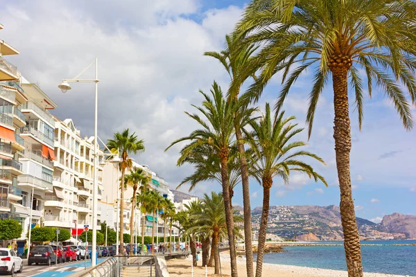 Boulevard Palmami Wzdłuż Pięknej Piaszczystej Plaży Altea Hiszpania Widok Apartamenty Zdjęcia Stockowe bez tantiem