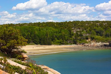 Sandy beach ve orman Acadia Milli Parkı, Maine, ABD. Turistler ile doğa ve Atlantik Okyanusu plaj.