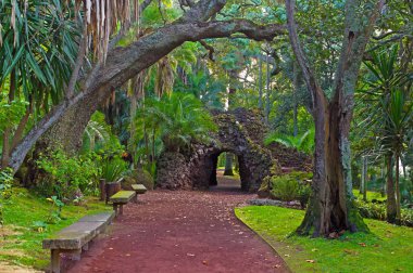 Ponta Delgada Şehir Parkı, Sao Miguel, Azores, Portekiz taş banklar ile sokakta. Büyük yosunlu ağaçlar ve parkta taş mağara.