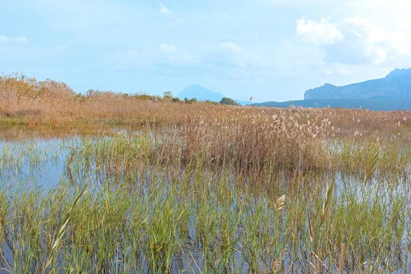 被山脉和稻田包围的湿地景观 西班牙佩戈 Marjal 公园的鸟类保护区 — 图库照片