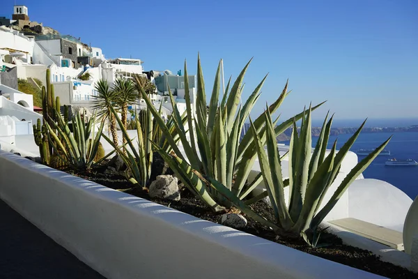 希腊圣托里尼岛上俯瞰爱琴海的悬崖上被粉刷过的建筑物 — 图库照片