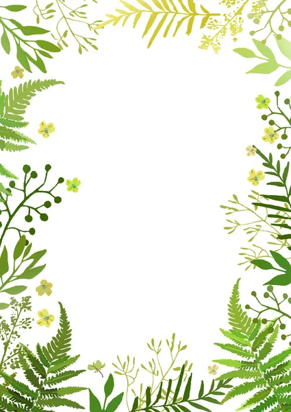 Çerçeve yaprakları ile. Yeşil folia vektör çiçek set el ile çizilmiş — Stok Vektör