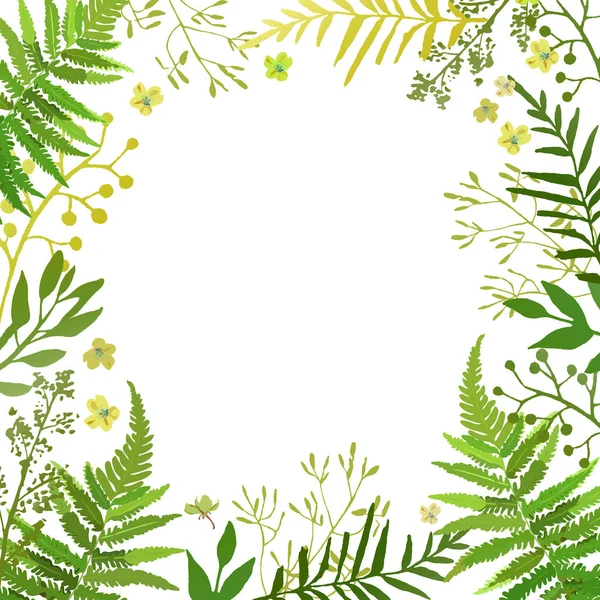 Frame met bladeren. Vector floral instellen met hand getrokken groene folia — Stockvector