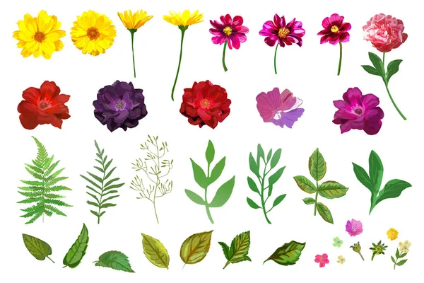 Conjunto floral. Colección con jardín dibujado a mano colorido aislado — Vector de stock