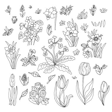 Çiçek koleksiyonu kümesi. Tasarım tebrik kartı. Sevimli çiçek ca