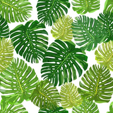 Tropical leaves seamless pattern colorful isolated hand drawn pl clipart
