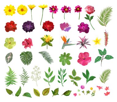 Floral set. Collection with isolated colorful hand drawn garden  clipart