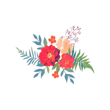 Çiçek kümesi. Kırmızı turuncu güzel çiçekli koleksiyon. El d