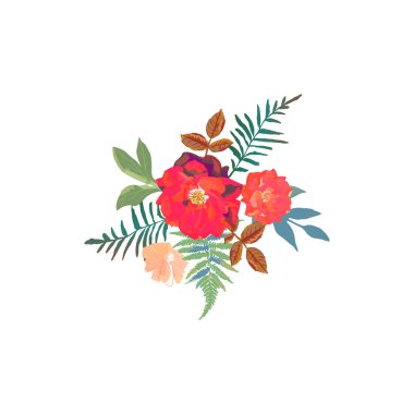 Çiçek kümesi. Kırmızı turuncu güzel çiçekli koleksiyon. El d