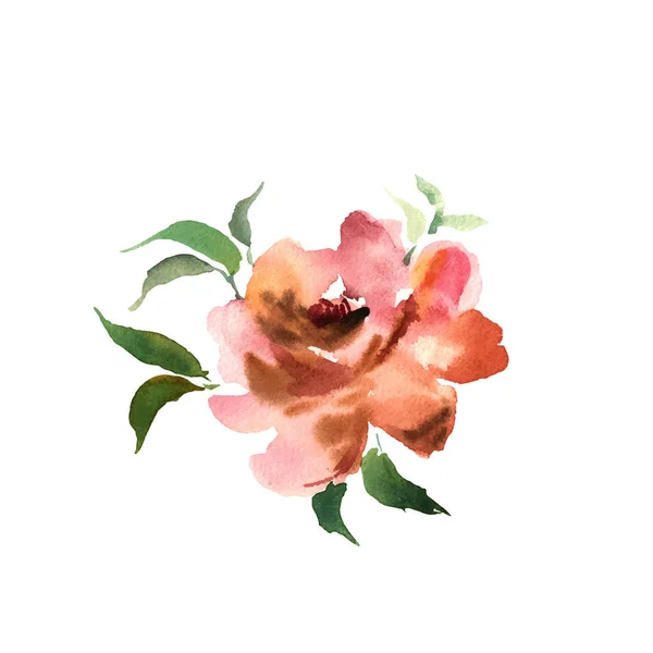 Flor de aquarela. Laranja bela mão desenhada rosa. Projeto para — Vetor de Stock