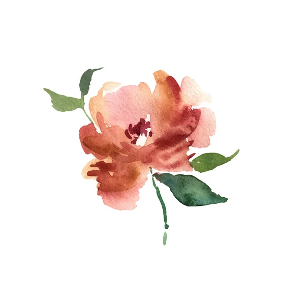 Aquarellblume. Orange schöne handgezeichnete Rose. Design für — Stockvektor
