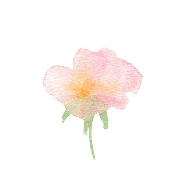 Цветок акварели. Розовая красивая ручная роза. Дизайн для inv — стоковый вектор