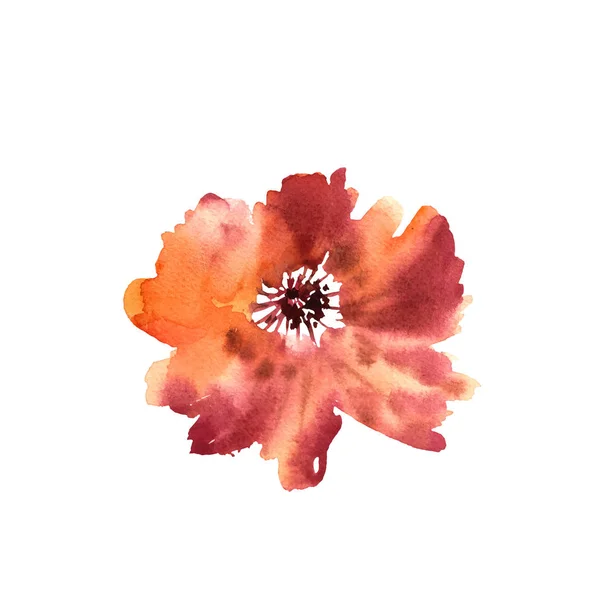水彩の花。色鮮やかなオレンジ色の美しい手描きのバラ。D — ストックベクタ