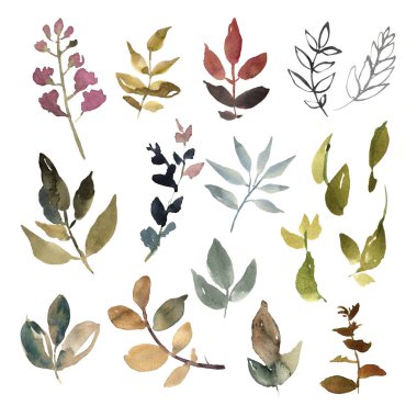 Suluboya çiçek çiçek bitki kartları baskı ve davet için ile çekilmiş renkli güzel çiçek koymak el. 