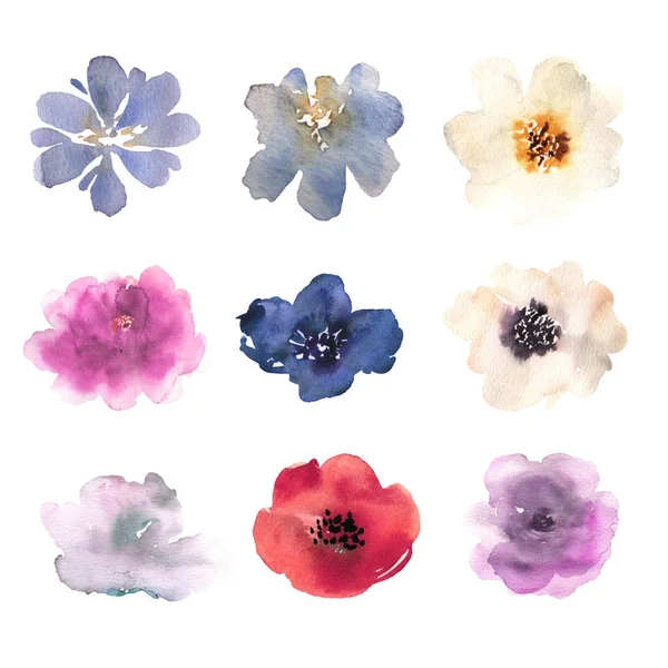 Akvarell blommor hand ritade färgglada vackra blommiga set med blossom anläggning för kort utskrifter och inbjudan. — Stockfoto