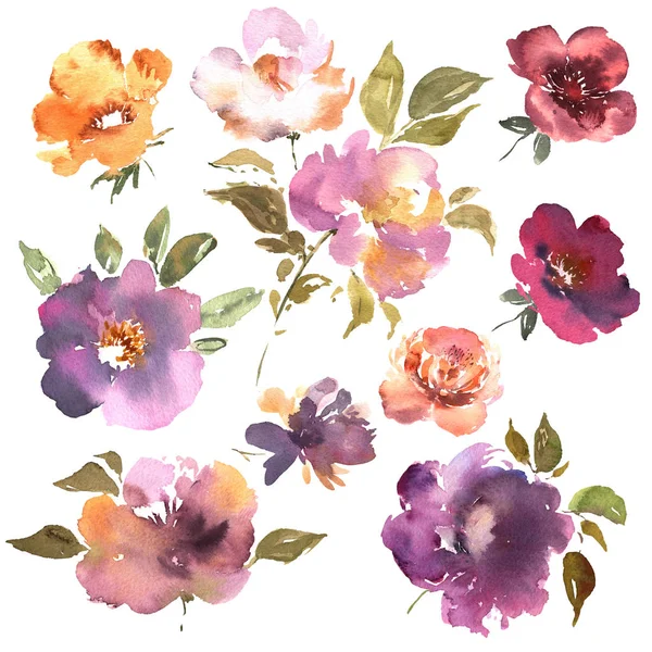 Aquarell Blumen von Hand gezeichnet bunt schön florales Set mit rosa rot lila Blütenpflanze für Karten Drucke und Einladung. — Stockfoto