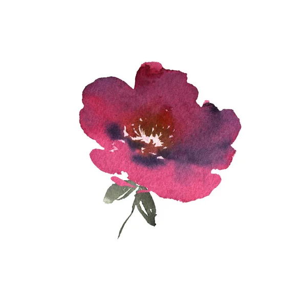 Flor aquarela com folhas desenhadas à mão colorido bonito vermelho isolado e planta flor para cartões de impressões e convite — Fotografia de Stock