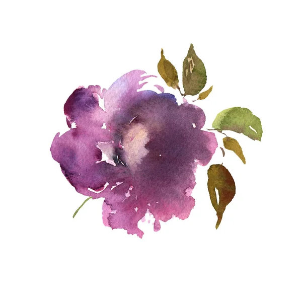 Aquarelle fleur dessinée à la main colorée belle plante violette isolée et fleurie pour les impressions de cartes et invitation — Photo