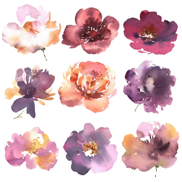 Conjunto floral. Coleção com flores, desenho aquarela. Design para cartões de convite, casamento ou saudação . — Fotografia de Stock