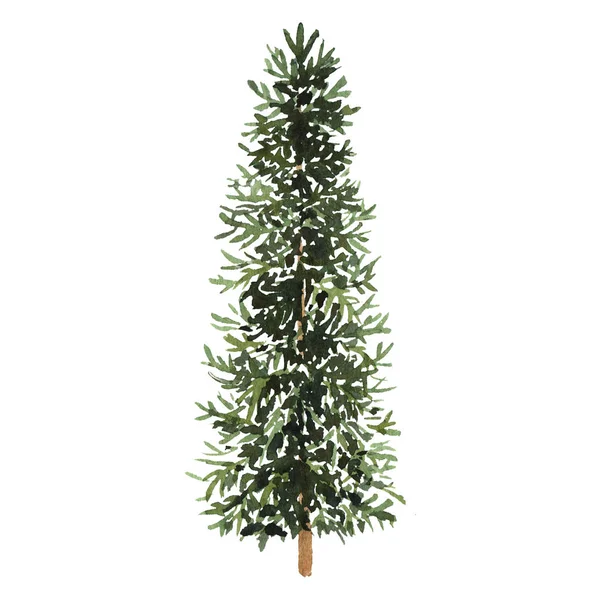 Acquerello verde albero di Natale su sfondo bianco. Elementi isolati disegnati a mano per stampe, carte . — Foto Stock
