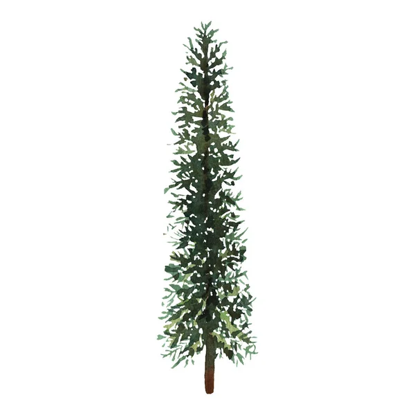 Aquarel groene kerstboom op witte achtergrond. Geïsoleerde hand getekende elementen voor prenten, kaarten. — Stockfoto