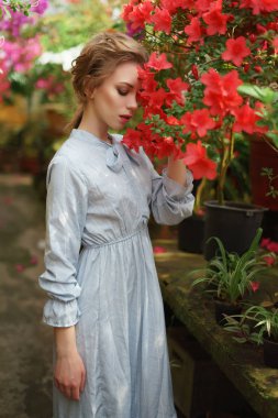 bahar romantik kavram. açelyalar çalılar yakınında genç güzel kadın. çiçek açan çalılar içinde bayan. mavi vintage elbiseli kadın