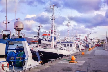 Gemi ve tekne iskele yakın. County Kerry, Ireland.