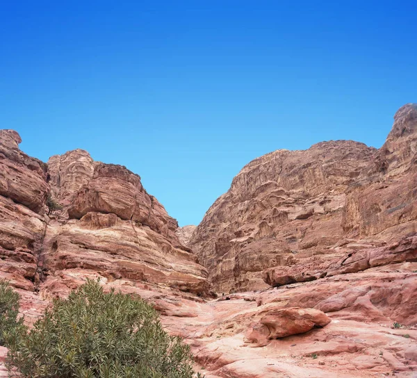 Forntida Övergivna Klippstaden Petra Jordanien Petra Ett Världens Sju Nya — Stockfoto