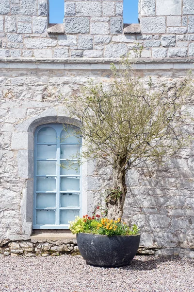 Blaues Fenster in altem Haus und Blumentopf — Stockfoto
