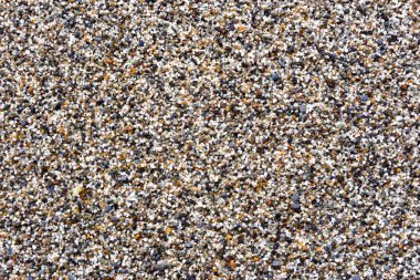 Sahilde küçük çakıl