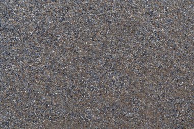 Deniz kıyısının parçalanmış kabukları.