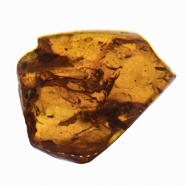 Böcekler inklüet ile kehribar parçası