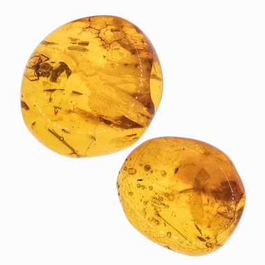 Böcekler inklüet ile kehribar parçası