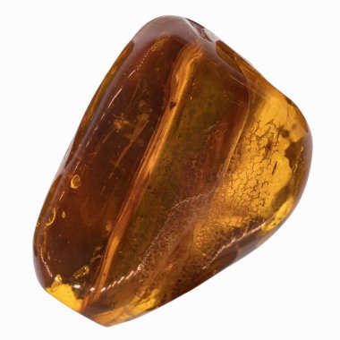 Böcekler inklüet ile kehribar parçası